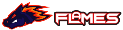 Campo do flamengo - 163bet
